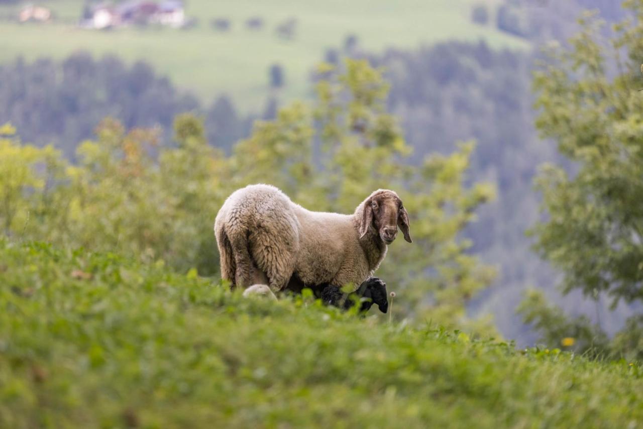 Oberplunerhof - Fewo Kronplatz Chienes Exteriér fotografie